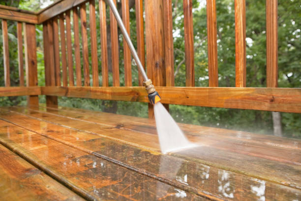Best Animal Enclosure Cleaning  in Port Barrington, IL